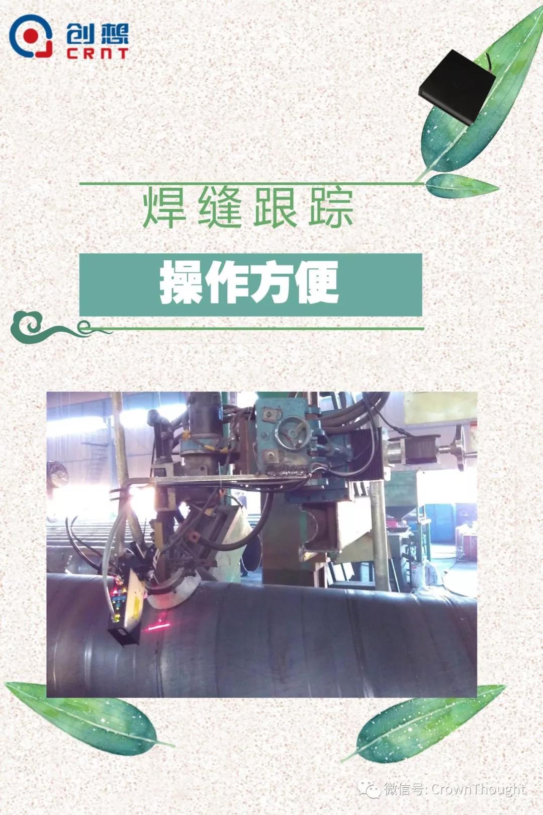 粽葉帶來的不僅僅是粽子，還有...