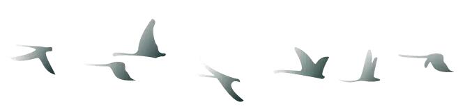 中秋佳節(jié) ▎有態(tài)度、有溫度， 一份堅(jiān)守是最誠(chéng)摯的祝福！